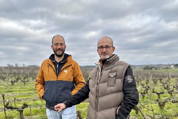  A Sauternes, des châteaux s'unissent pour trouver et former le personnel dont ils ont besoin