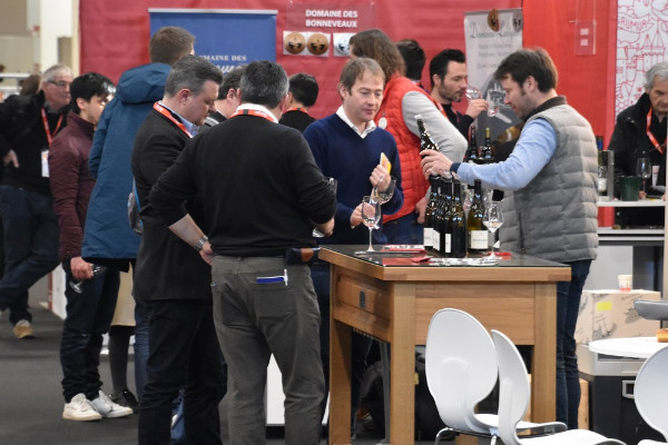 Pas de guerre de chapelles, mais un même toit pour les salons des vins à Angers
