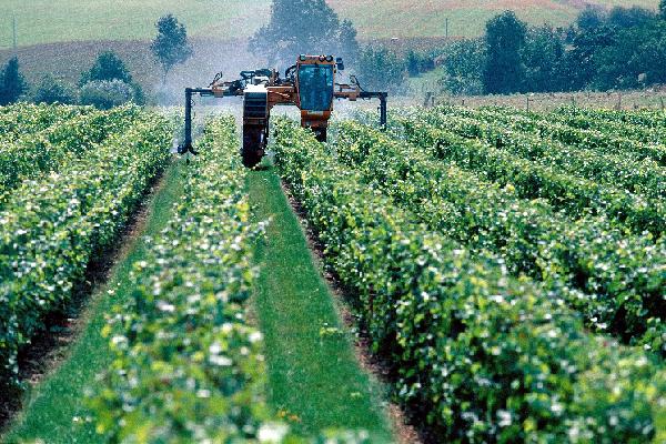  Des hausses des coûts de production de 5 à 10 % en 2022 en viticulture
