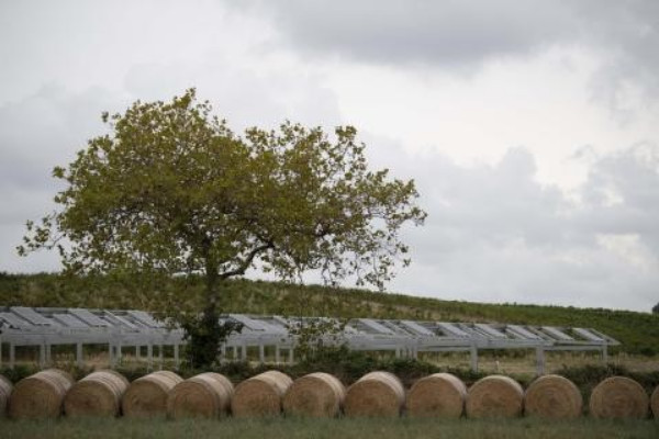 Réussites et déboires de l'agrivoltaïsme dans le vignoble
