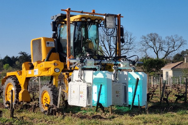 UV Boosting a limité les dégâts de gel sur vignes à Bordeaux et en Champagne