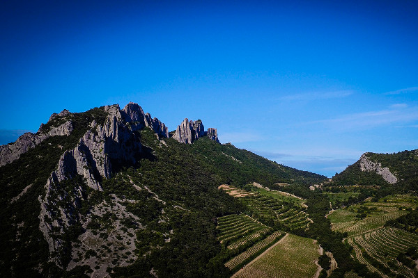 Rhonéa renforce ses vins premium à l'export en reprenant Caravinsérail