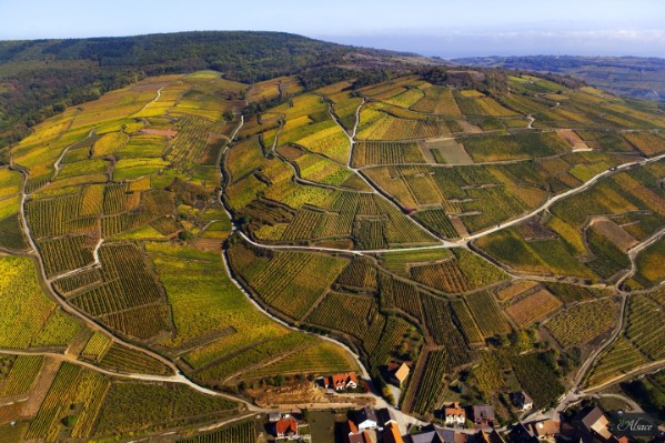 Les terroirs d’Alsace payent leur tournée d’avril à juillet