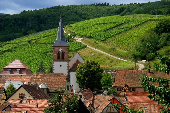 Les vins alsaciens lourdement sanctionnés pour 'entente sur les prix'