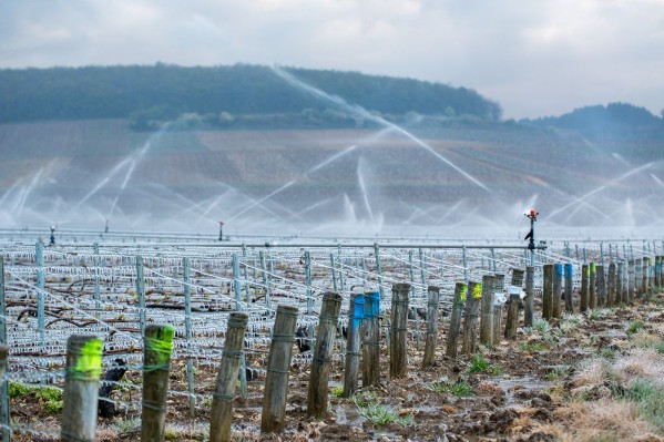 Quels modèles météo suivre pour bien anticiper le gel 