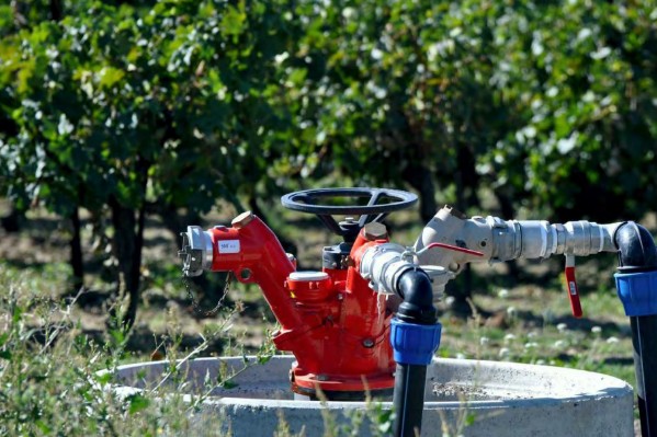 Quid des projets de retenues hivernales dans le vignoble ?