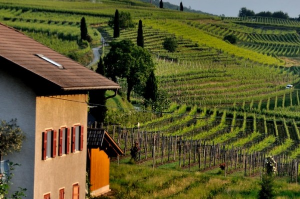 Nouvelles charges contre le traitement des vignes à proximité des habitations