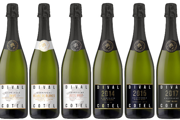 Cordier by InVivo déploie son offre de vins de champagne