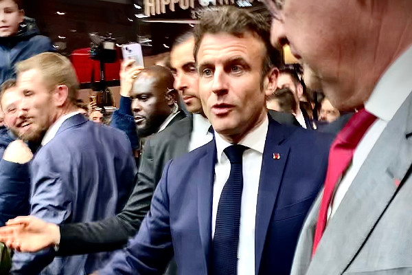 Dernière vigne droite pour dimensionner l’arrachage et la distillation   