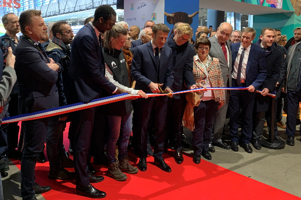 Piste ouverte pour transformer les dettes PGE en prêts bonifiés dans le vignoble