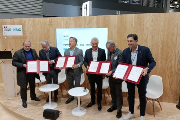 Les variétés Bouquet vont pouvoir se déployer dans le vignoble languedocien