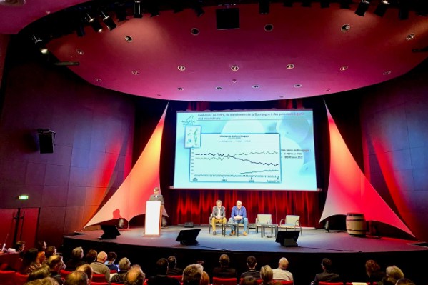 Le pinot noir pèse de moins en moins lourd en Bourgogne