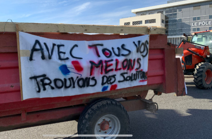 Le vignoble ne veut pas être laissé en plan de crise
