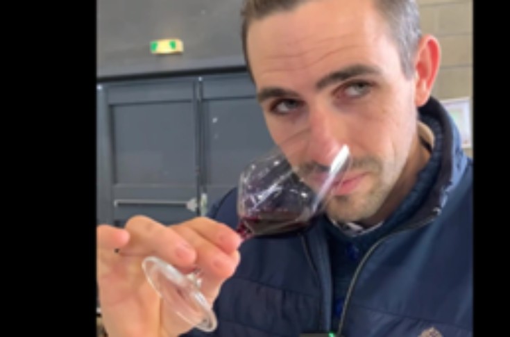 Des cuvées sorties du lot sur Millésime Bio