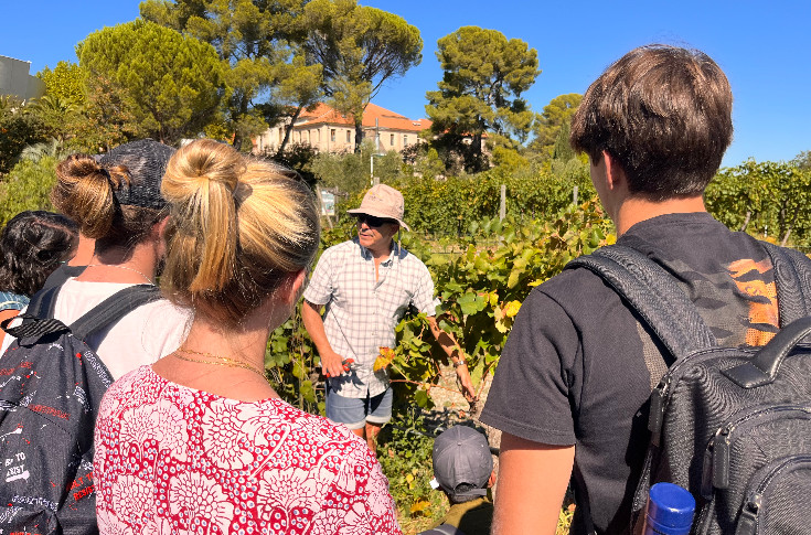 Naissance du pôle Vigne et Vin de l’Institut Agro pour Angers, Dijon et Montpellier