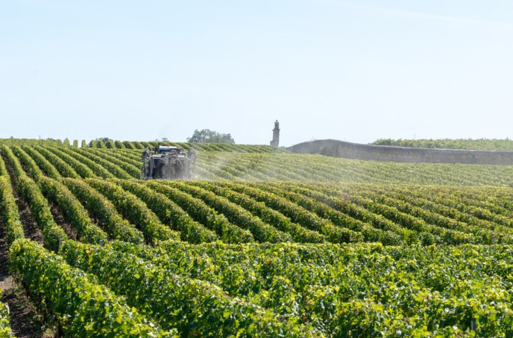 La Commission Européenne recule sur la réduction des pesticides