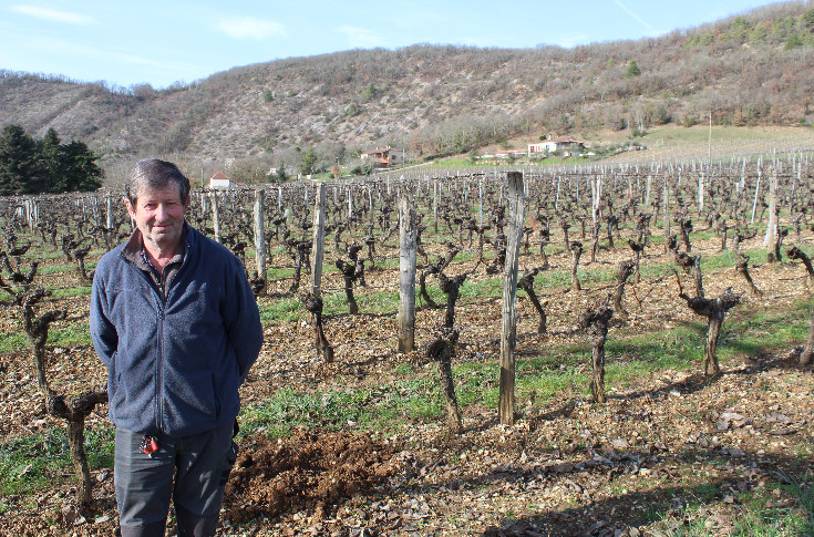 Cahors veut éviter 600 ha de friches viticoles avec l’arrachage