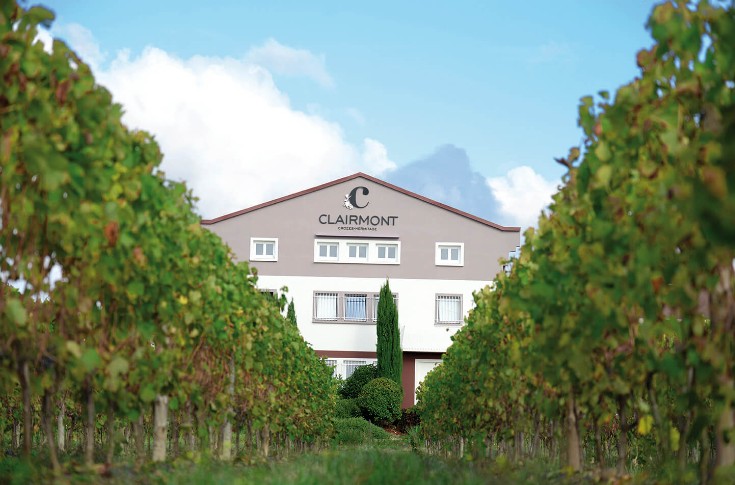 Cette coopérative ne connaît pas la crise et cherche de nouveaux vignerons