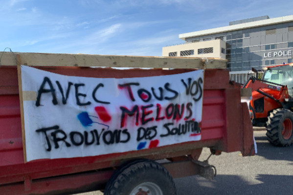 Le vignoble ne veut pas être laissé en plan de crise