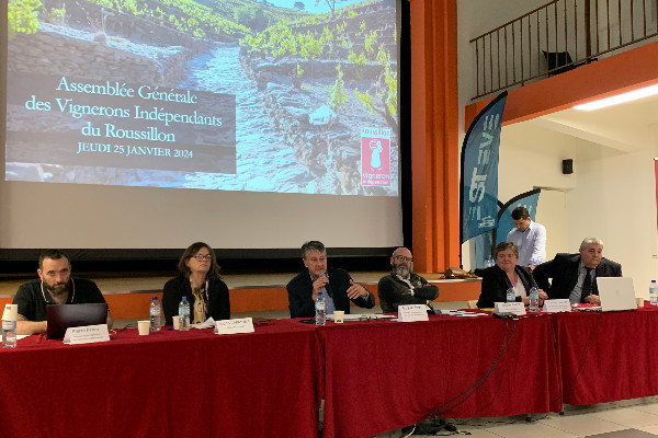 L’interprofession des vins du Roussillon rejoue Las Vegas Parano