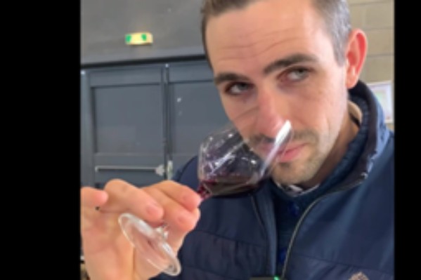 Des cuvées sorties du lot sur Millésime Bio