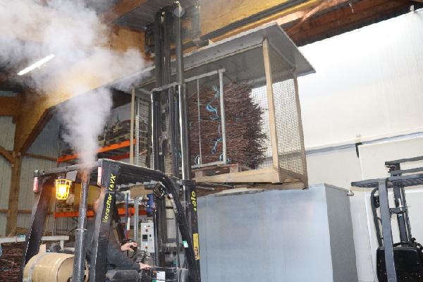 Traitement à l'eau chaude des bois et plants de vigne, une organisation bien huilée chez les pépinières Viaud