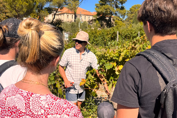 Naissance du pôle Vigne et Vin de l’Institut Agro pour Angers, Dijon et Montpellier