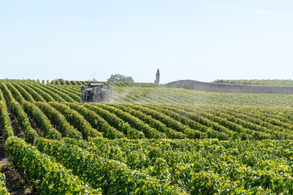 La Commission Européenne recule sur la réduction des pesticides