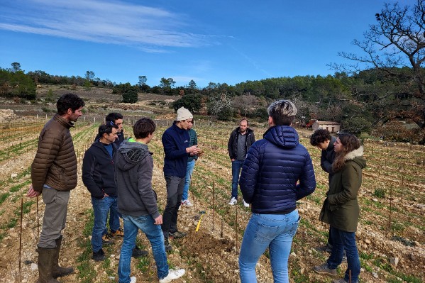 Un itinéraire technique pour la vie (et le rendement) de chaque sol viticole