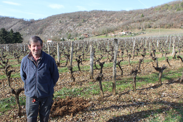Cahors veut éviter 600 ha de friches viticoles avec l’arrachage