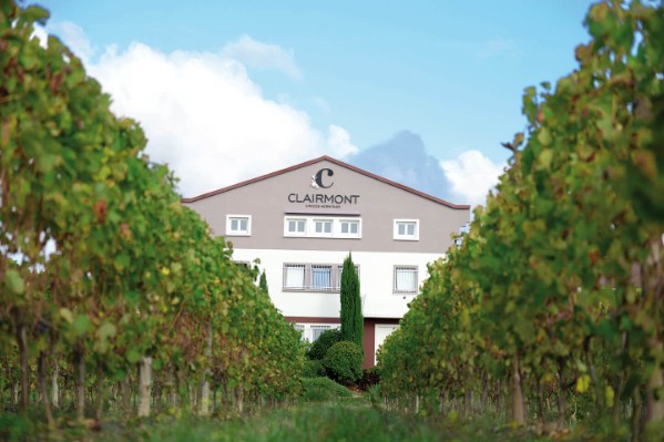 Cette coopérative ne connaît pas la crise et cherche de nouveaux vignerons