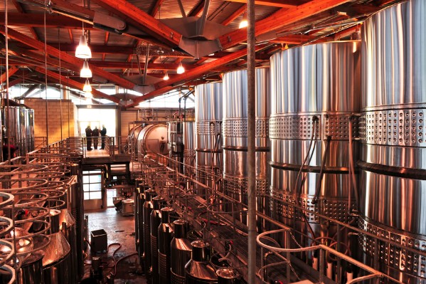 Terra Vitis responsabilise un peu plus ses vignerons