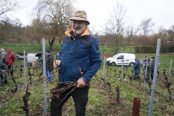 Les pros au secours des amateurs pour tailler les ceps de vigne destinés au rosé de Chartres