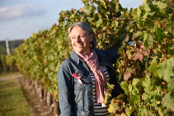 Pour lutter contre la flavescence dorée en bio, chaque geste compte