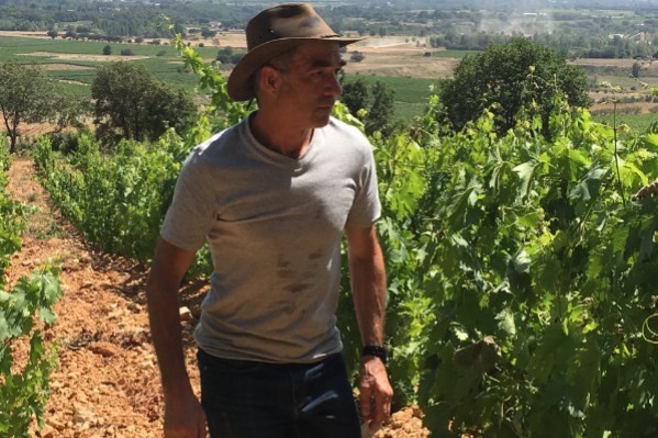 Montepulciano, nero d’avola, et agiorgitiko s’acclimatent au vignoble du Languedoc