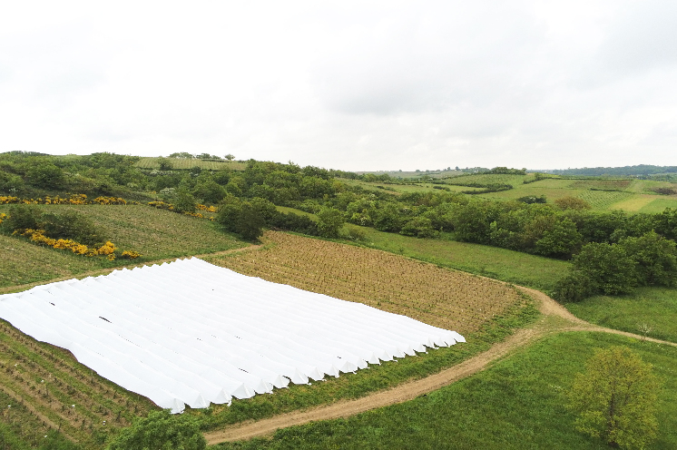Des voiles plus simples à poser contre le gel dans les vignes