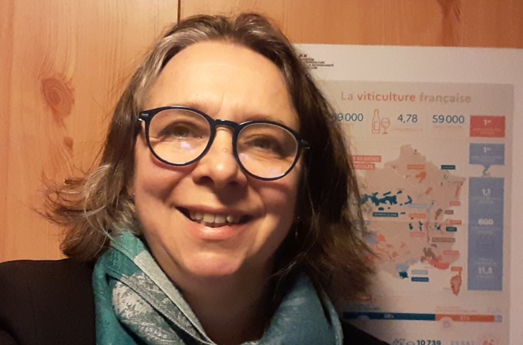 Scarabée japonais, cicadelle africaine et Xyllela fastidiosa dans le viseur de la nouvelle experte vigne de la DGAL