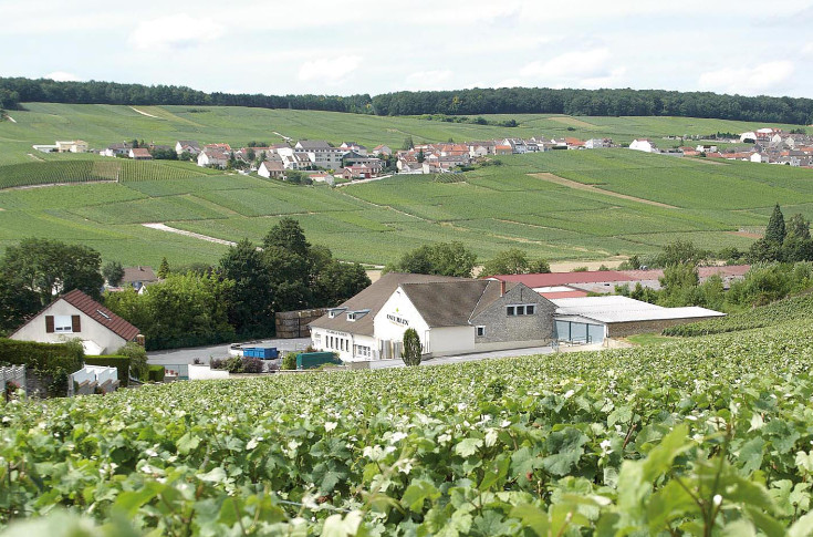 Fusion de caves coops en Champagne : Vinay + Mancy