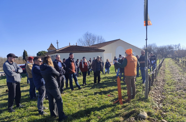 Les vignerons dans les starting-blocks pour s'équiper contre le gel