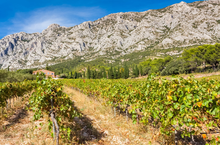 Les vins de Provence ont leur premier cru : Sainte-Victoire !