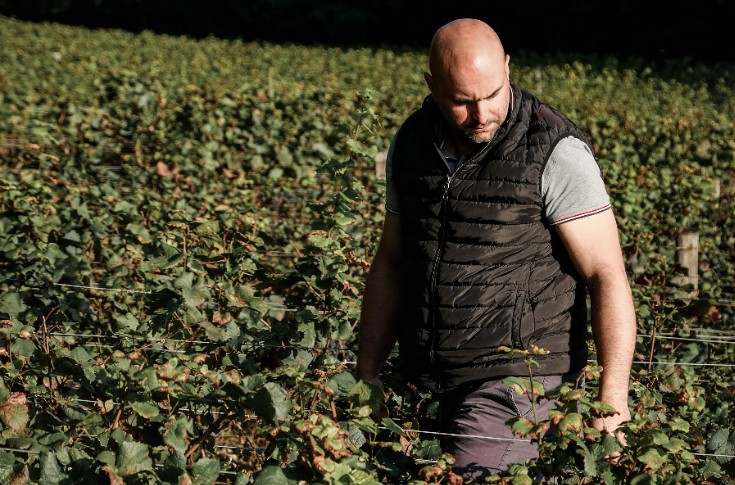 Ce vigneron-négociant investit en Hautes-Côtes de Nuits