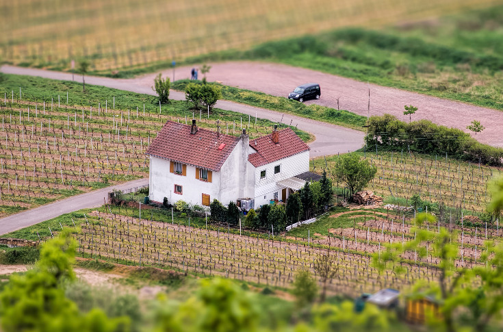 L’obligation de zone sans phyto transférée des parcelles agricoles aux projets immobiliers
