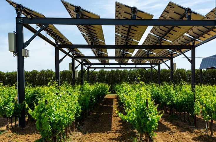 14 % des viticulteurs engagés dans un projet d’agrivoltaïsme