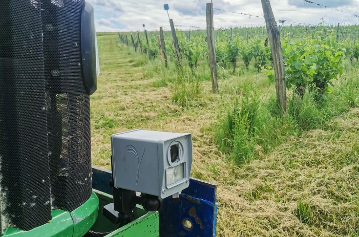 La pression mildiou captée et cartographiée dans les vignes