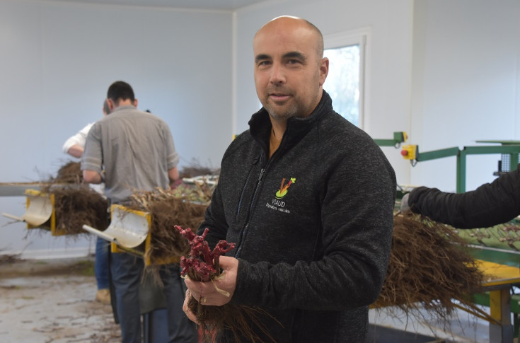 Guillaume Careil préside les pépiniéristes viticoles du Val de Loire