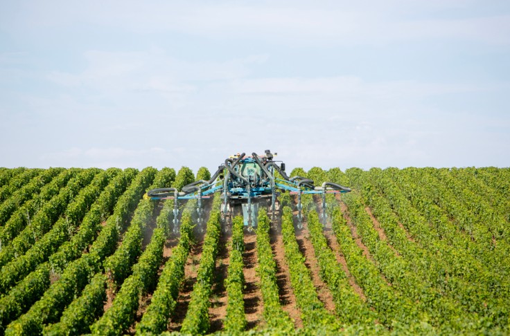 1 viticulteur sur 2 prêt à réduire les fongicides si ses pertes de rendement sont assurées