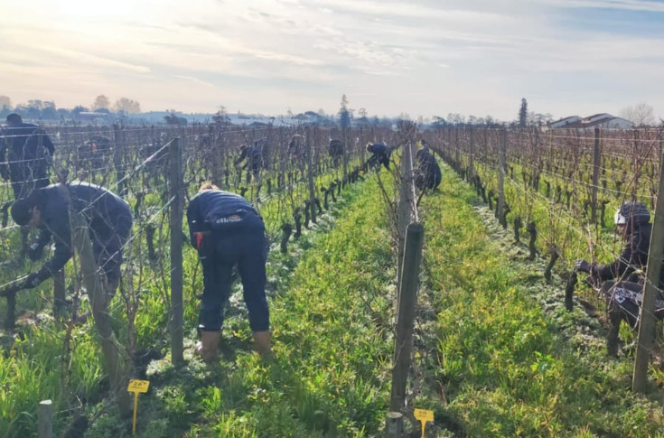 Clap de fin pour l’asso des métiers agricoles et viticoles de Gironde ?