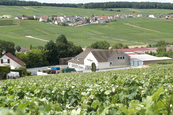 Fusion de caves coops en Champagne : Vinay + Mancy