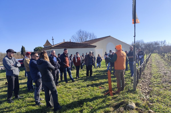 Les vignerons dans les starting-blocks pour s'équiper contre le gel