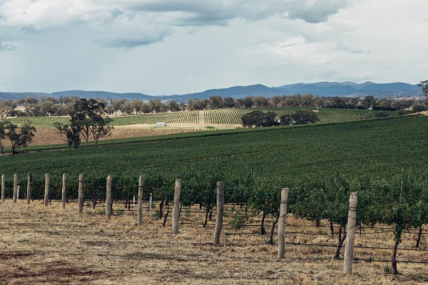 Les vins australiens performent de nouveau en Chine sans dégonfler leurs surstocks